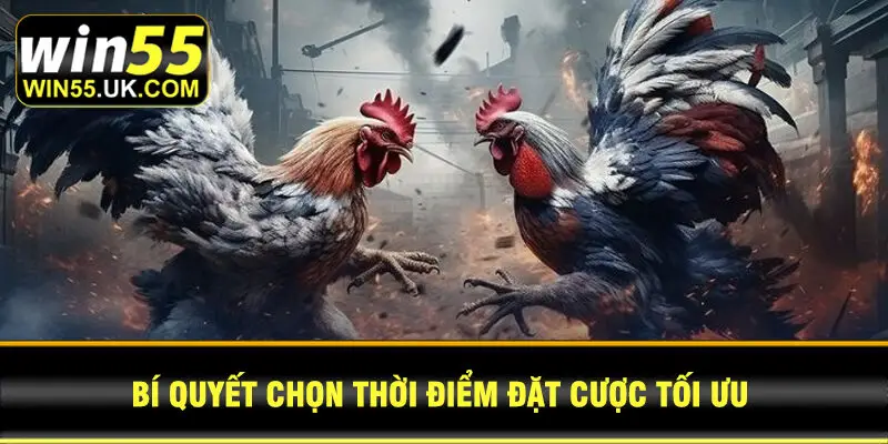 Bí quyết chọn thời điểm đặt cược tối ưu